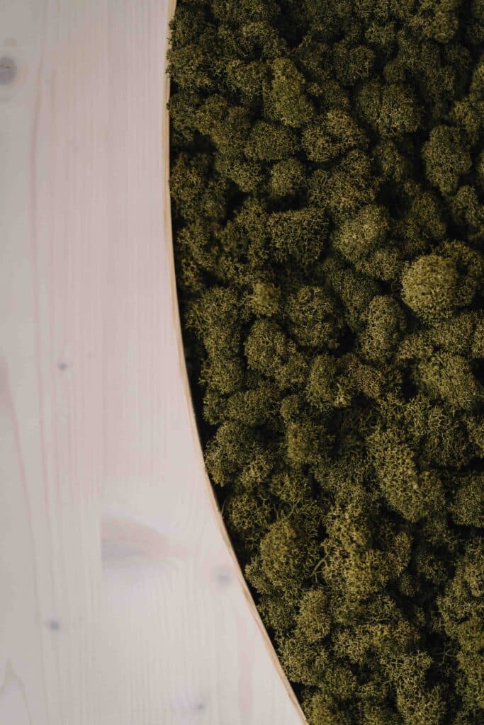 UTRAILOO – fotografie 13