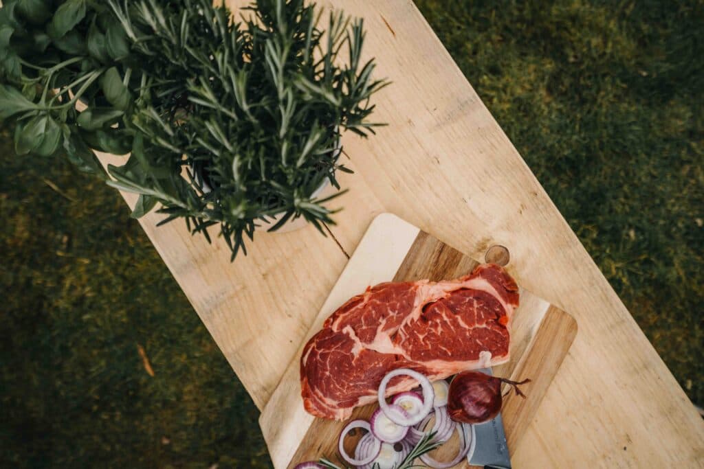 UTRAILOO – fotografie 21