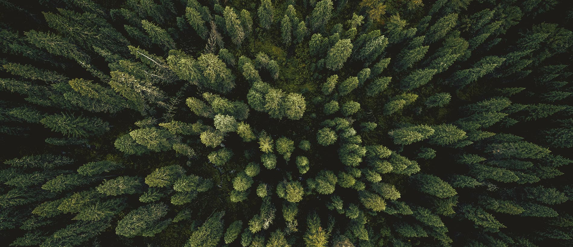 Interiér domu UTRAILOO