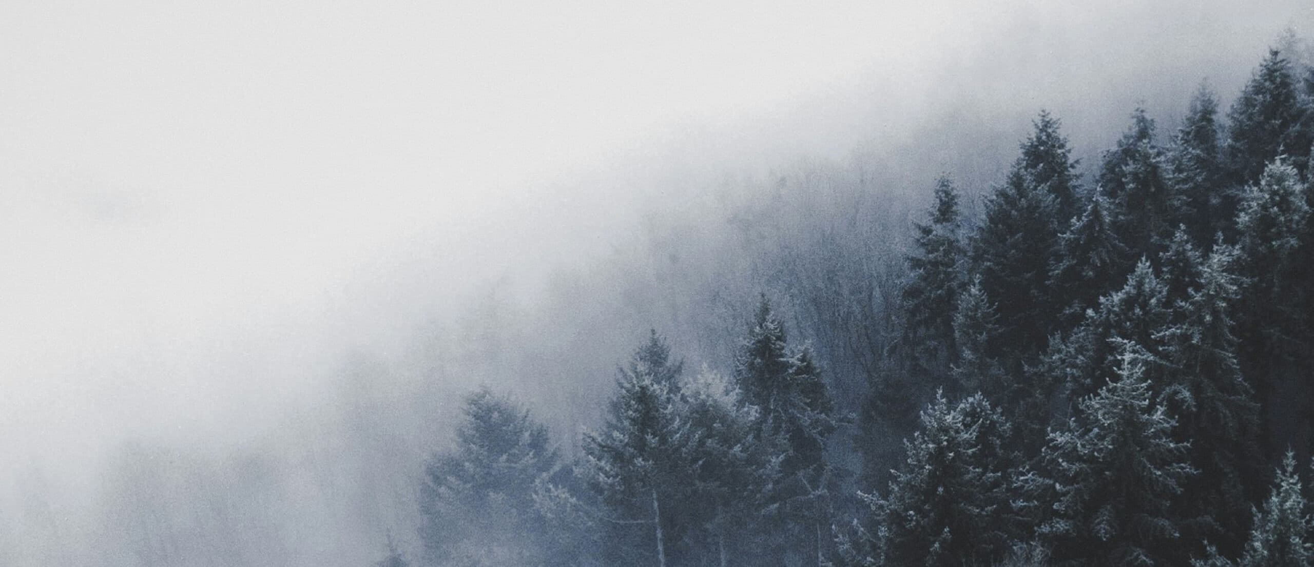 Bílá jiskřivá zimní rána